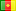drapeau du cameroun